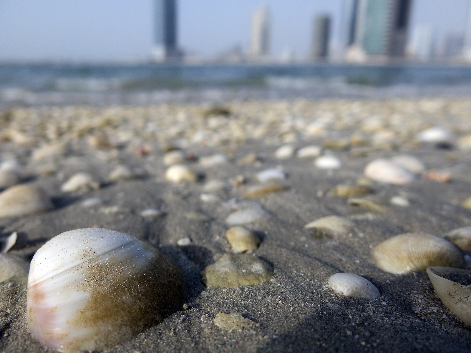 Photo: <a href=