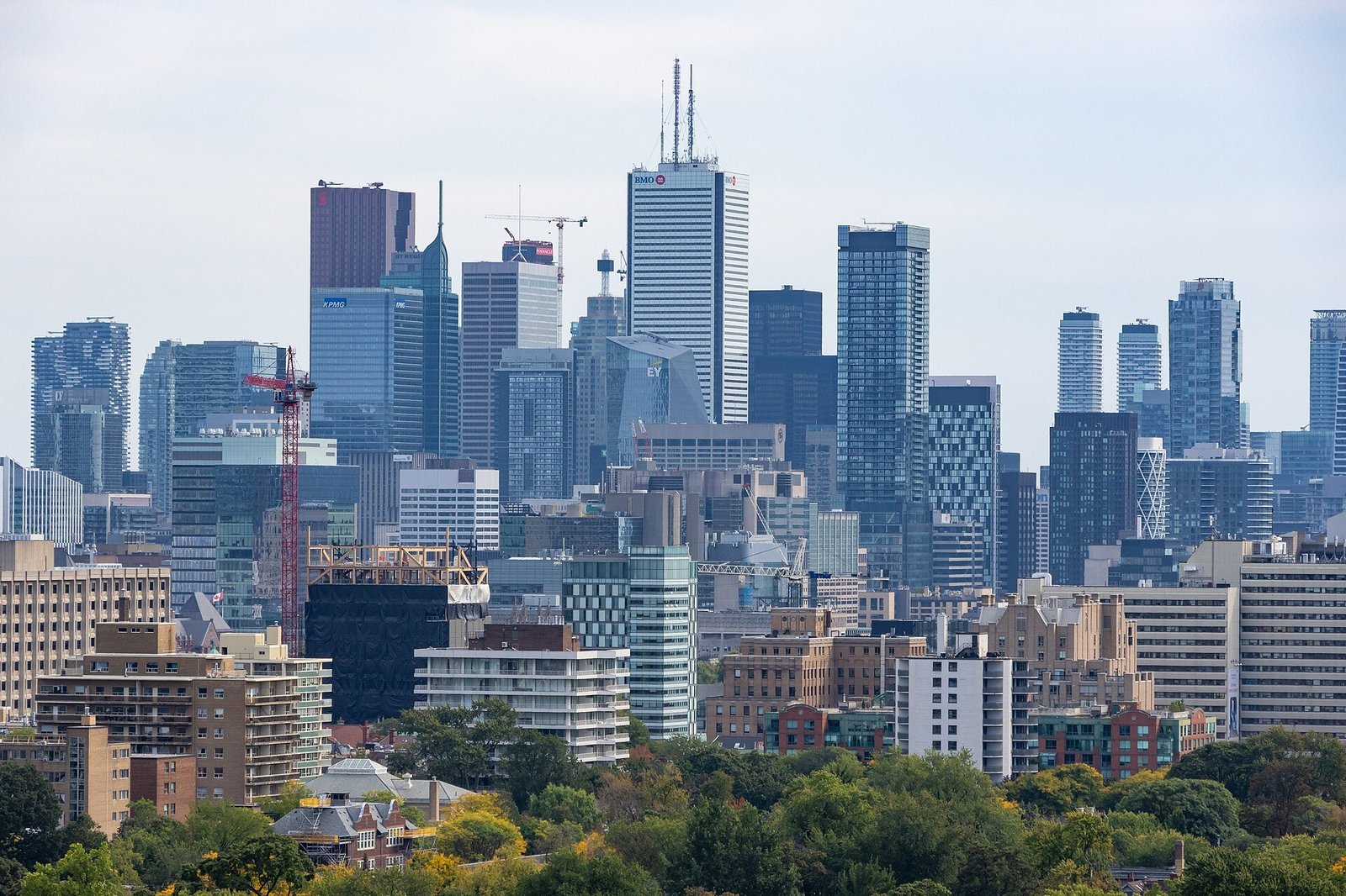 Toronto's financial district, where Cohere is based. Photo: Dillan Payne, CC BY-