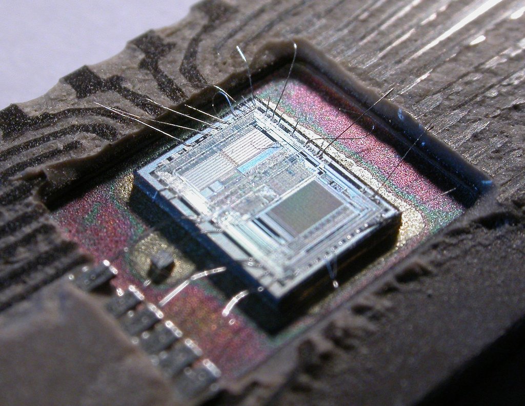 Silicon, not sentiment, still underpins the AI trade — for now. Image: