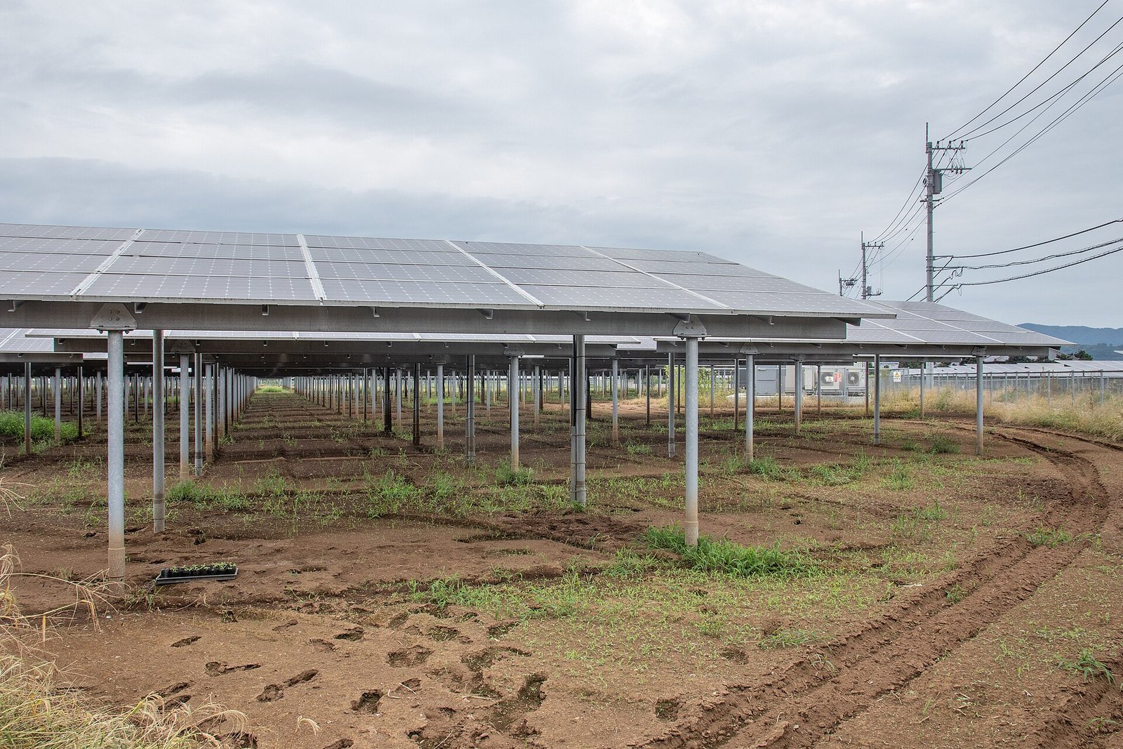 Ground-mounted solar panels at a power plant in Tsukuba, Japan